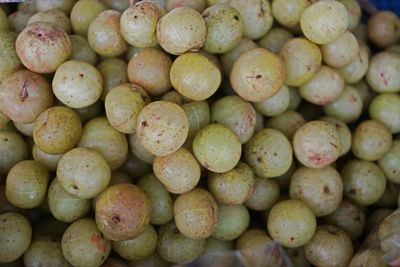 Indian gooseberry, sour test local tropical fruit