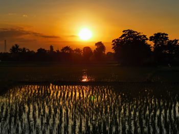 Scenic view of farm against sky during sunset