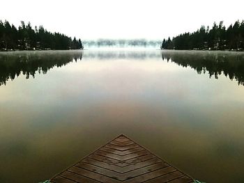 Reflection of trees in calm lake