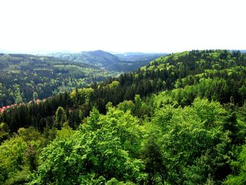 Scenic view of green landscape against clear sky