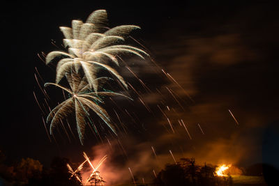 Low angle view of firework display at night