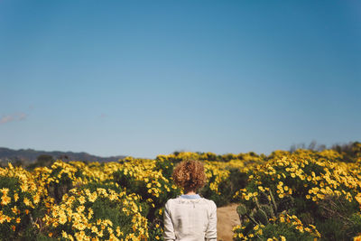 Rear view of flower plants on field against clear sky