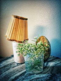 Close-up of potted plant on table against wall
