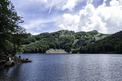 Scenic view of lake in forest against sky