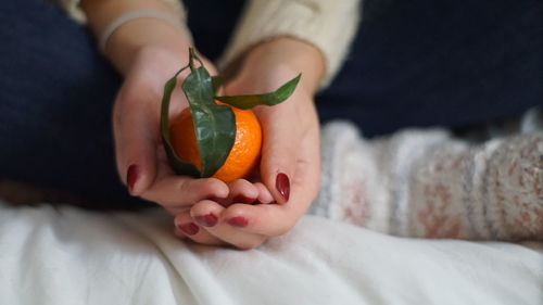 Close-up of hand holding fruit