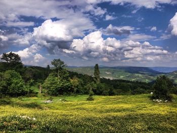 Scenic view of landscape against cloudy sky