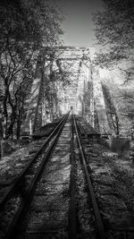 Railway tracks against trees