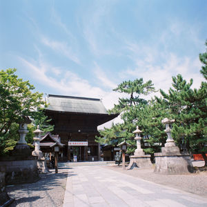 Trees by built structure against sky