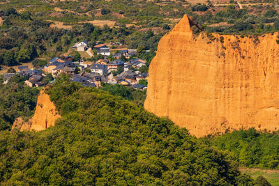 High angle view of trees growing on rock