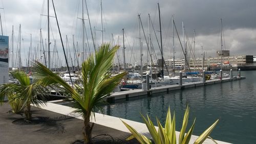 Boats moored at harbor against sky