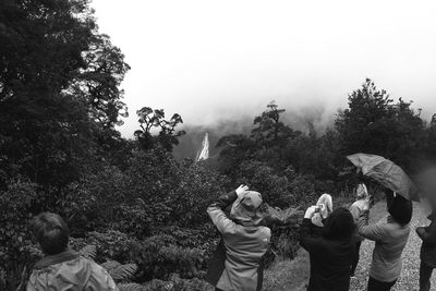 Rear view of people standing in forest