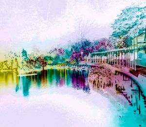 Reflection of trees in swimming pool against sky