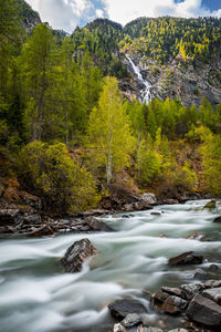 Stream flowing through rocks in forest