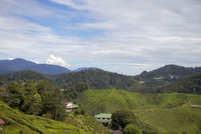 Scenic view of landscape and mountains against sky