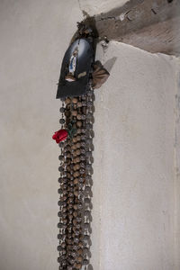 wall - building feature