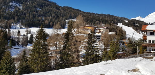 Snow covered trees and buildings against sky