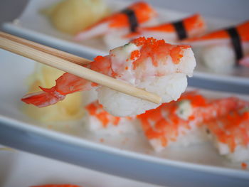 Close-up of sushi served in plate