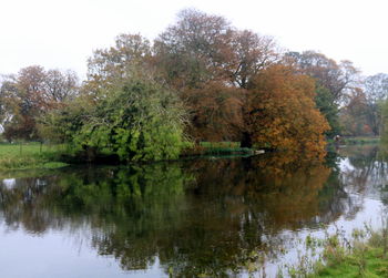 Scenic view of lake by trees in forest against sky