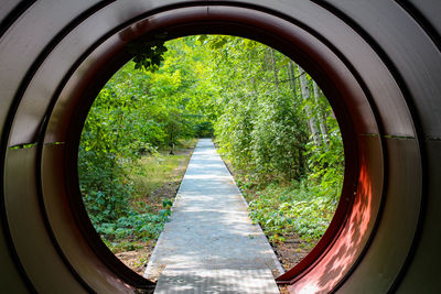 Trees seen through arch