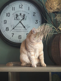 clock