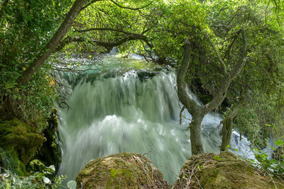 Scenic view of waterfall in forest