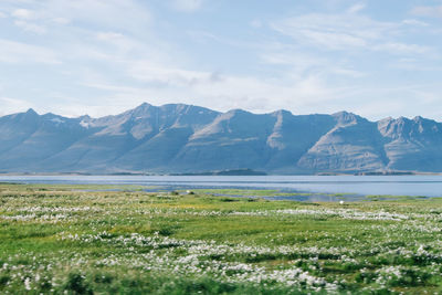 Scenic view of lake with mountains in background