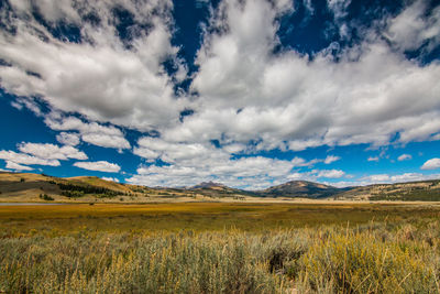 Scenic view of field against sky