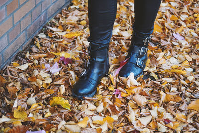 Low section of woman standing on autumn leaves