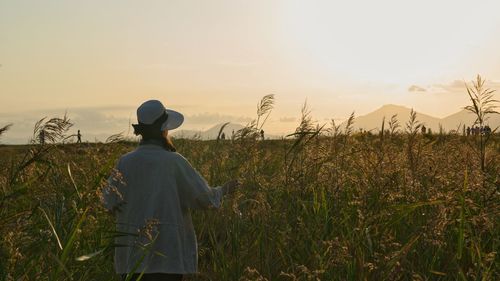 A woman in reed field at sunset