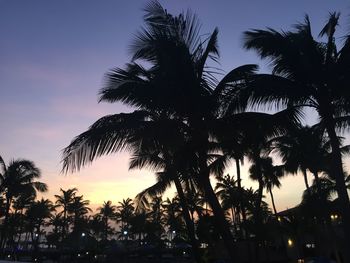 Low angle view of silhouette palm trees against sky during sunset