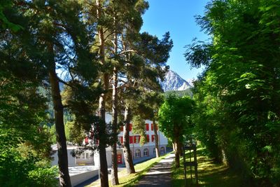 Road amidst trees against sky