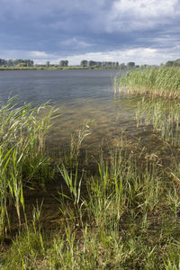 Scenic view of lake against sky