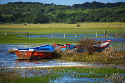 Fishing boats moored on field by lake