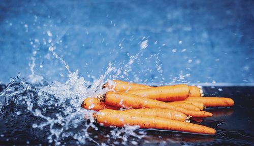 Close-up of meat in water