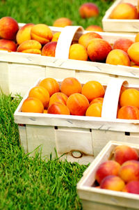 Fruits in container at market stall