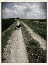 Road passing through field against cloudy sky