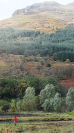 Scenic view of landscape