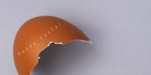 Close-up of broken egg against white background