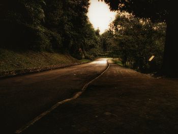 Road amidst trees at night