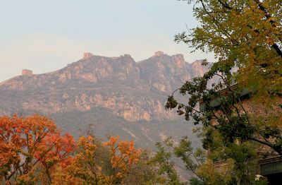 Autumn leaves on mountain against sky