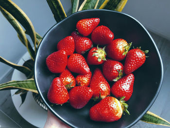 High angle view of strawberries in bowl