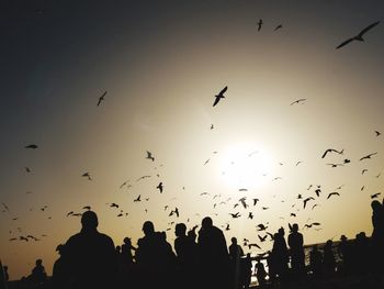 Silhouette birds flying over people against sky during sunset