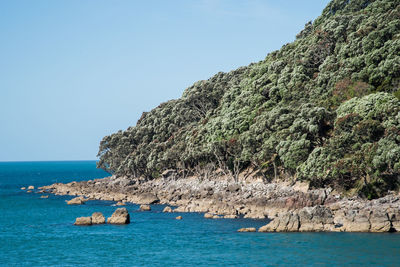 Scenic view of sea against clear sky