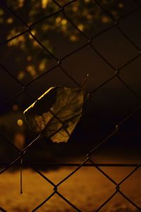 Close-up of chainlink fence