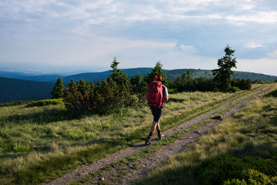 Rear view of man on road amidst plants against sky