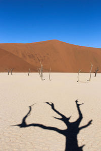 Shadow of people on sand dune