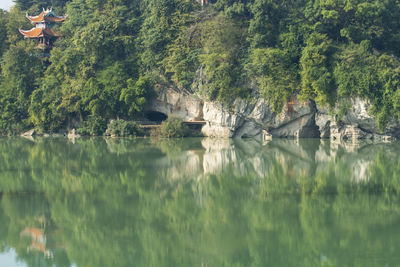 Scenic view of lake by trees