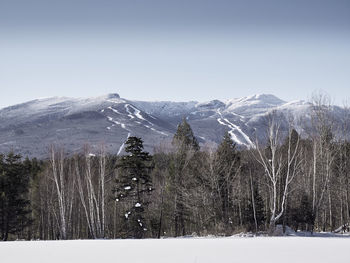 Scenic view of snowcapped mountains against clear sky