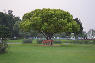 Trees in park against sky