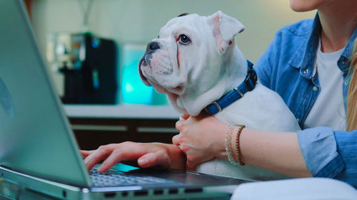 Midsection of woman with dog using laptop at home